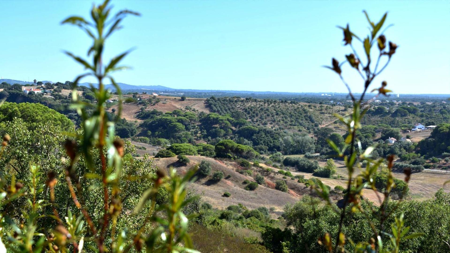 Monte Sardinha Vendégház Santiago do Cacém Kültér fotó