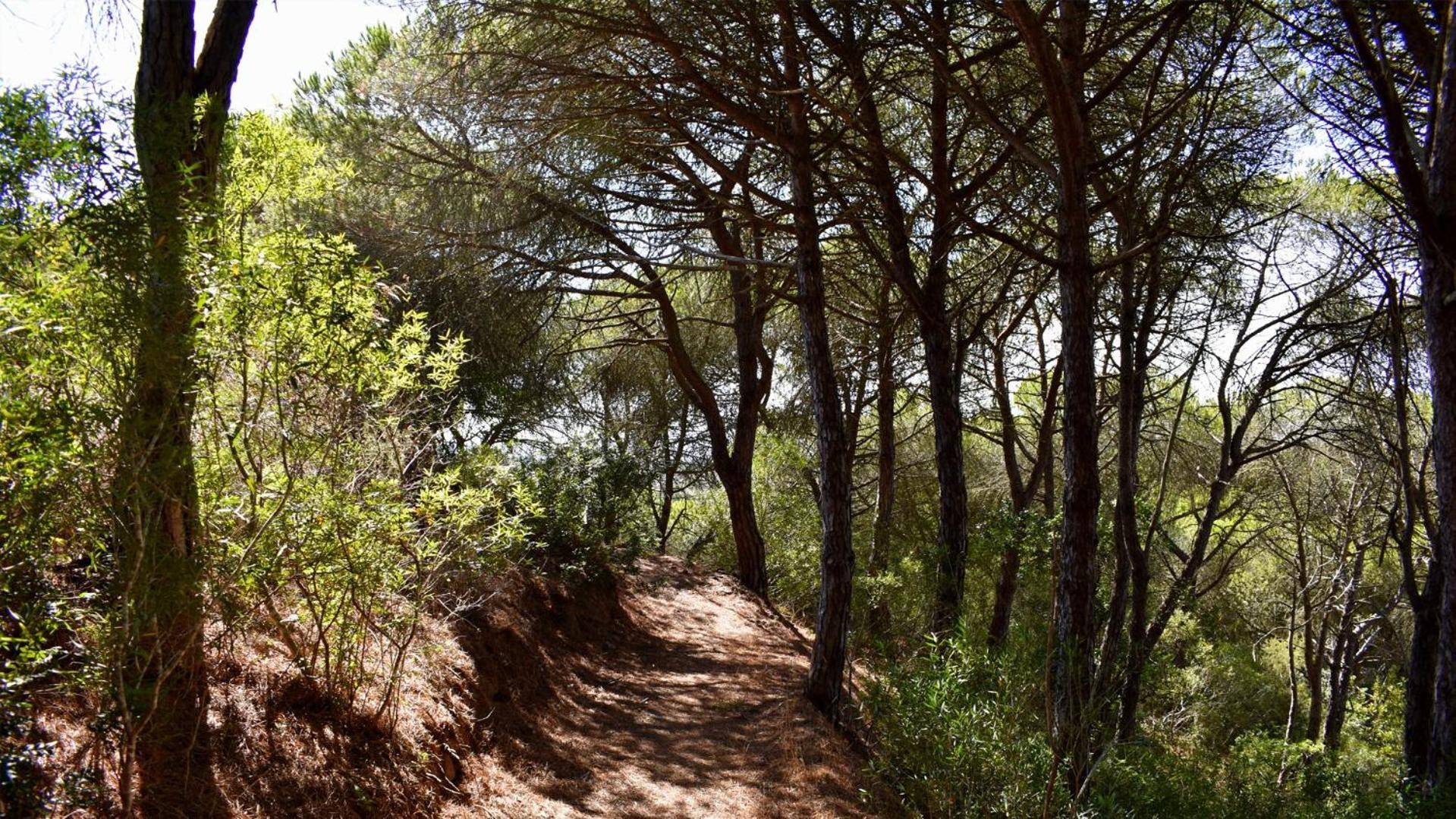 Monte Sardinha Vendégház Santiago do Cacém Kültér fotó